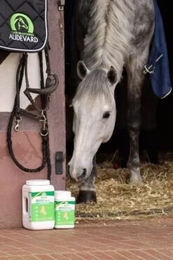 Audevard Ekyflex Arthro Evo 1.8 Kg -Trixie Boutique ekyflex arthro evo cheval box audevard 1 1