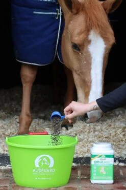 Audevard Ekyflex Arthro Evo 1.8 Kg -Trixie Boutique ekyflex arthro evo distribution cheval audevard 1 1