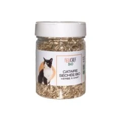 Felichef Herbe à Chat Cataire 40 G
