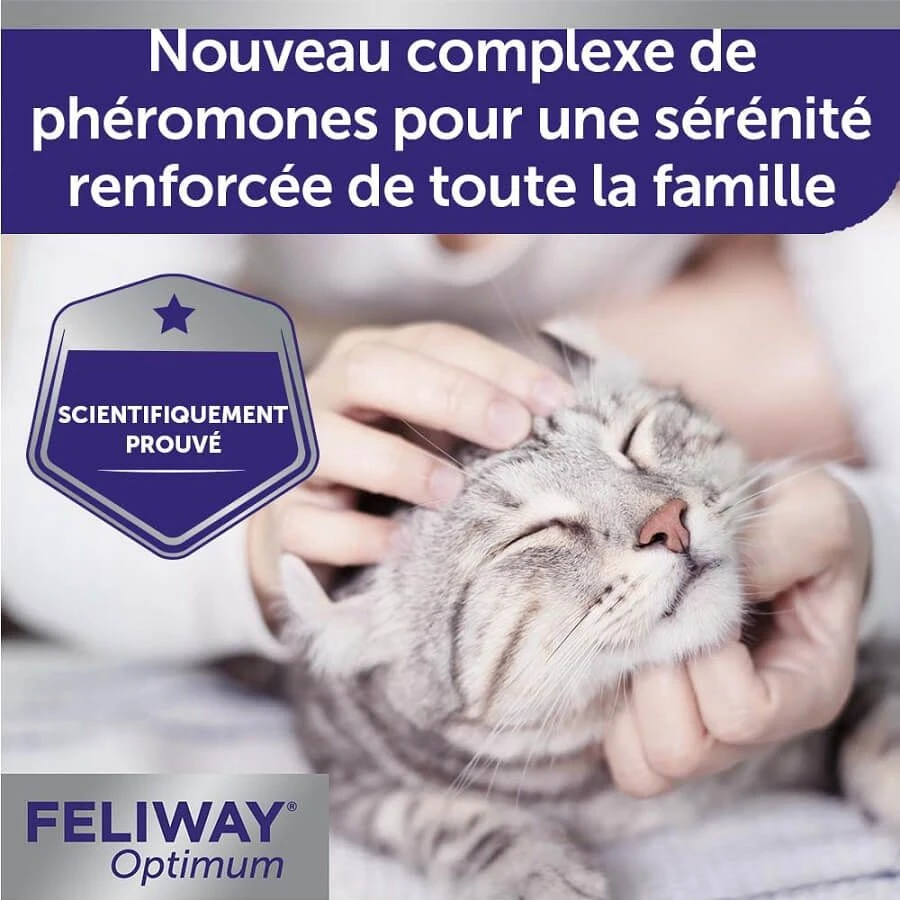 Feliway Optimum Recharge Pour Diffuseur 48 Ml 5 Feliway Optimum Recharge Pour Diffuseur 48 Ml – Image 5