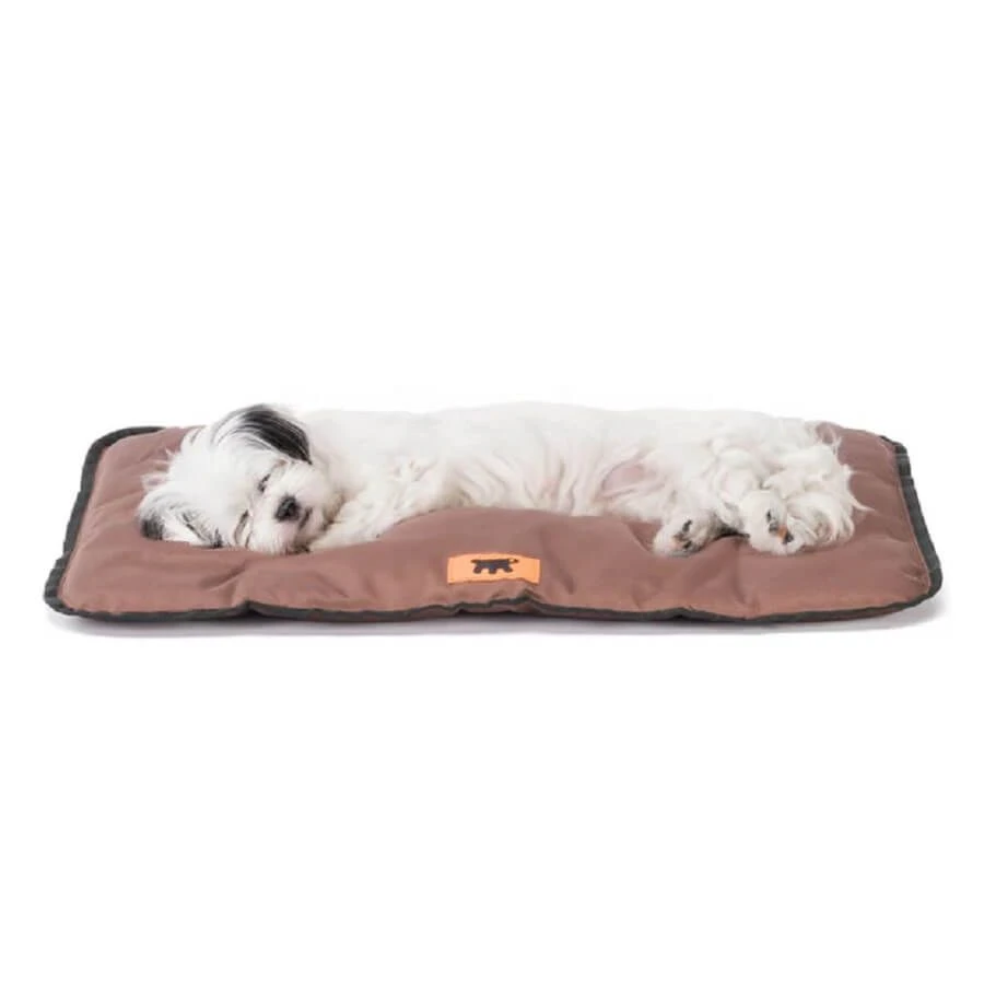 Ferplast Matelas Jolly Marron Pour Chien 65 X 48 Cm 2 Ferplast Matelas Jolly Marron Pour Chien 65 X 48 Cm â Image 2