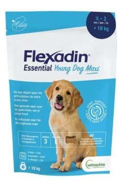 Flexadin Chiot Maxi 60 Bouchées