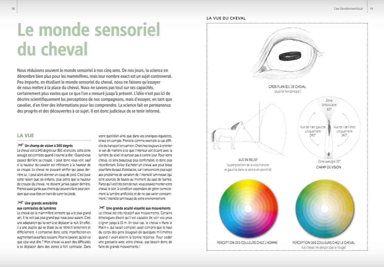 Livre - Gérer & éduquer Son Cheval Au Naturel 3 Livre - Gérer & éduquer Son Cheval Au Naturel – Image 3