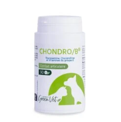 Greenvet Chondro B 90 Cps