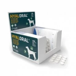 HYALORAL Chien Plus De 5 Kg 360 Cps
