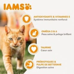 IAMS Vitality Croquettes Chat Adulte Poulet 1.5 Kg -Trixie Boutique iams vitality croquettes chat adulte poulet 3