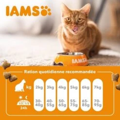 IAMS Vitality Croquettes Chat Adulte Poulet 1.5 Kg -Trixie Boutique iams vitality croquettes chat adulte poulet 5