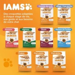 IAMS Vitality Croquettes Chat Senior Poulet 10 Kg -Trixie Boutique iams vitality croquettes chat senior poulet5 1