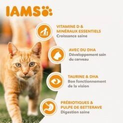 IAMS Vitality Croquettes Pour Chaton Au Poulet 1.5 Kg 9 IAMS Vitality Croquettes Pour Chaton Au Poulet 1.5 Kg -Trixie Boutique iams vitality croquettes pour chaton au poulet3 1