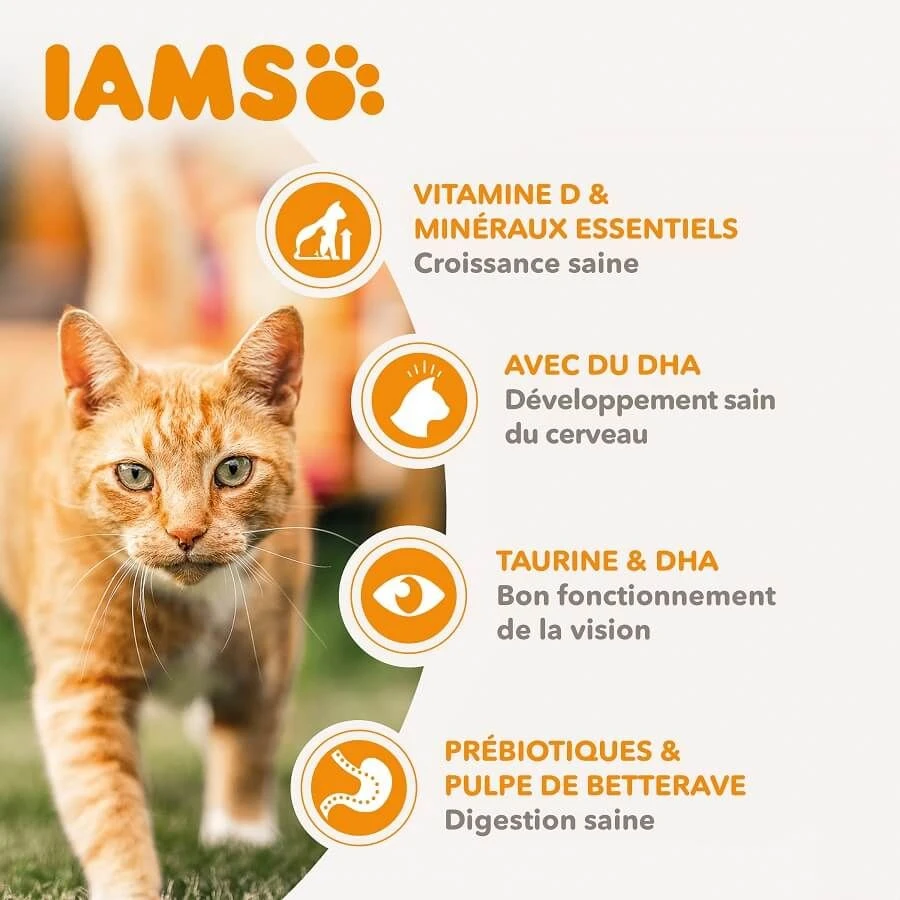 IAMS Vitality Croquettes Pour Chaton Au Poulet 1.5 Kg 4 IAMS Vitality Croquettes Pour Chaton Au Poulet 1.5 Kg – Image 4