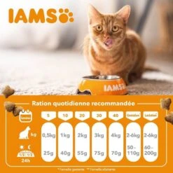 IAMS Vitality Croquettes Pour Chaton Au Poulet 1.5 Kg 10 IAMS Vitality Croquettes Pour Chaton Au Poulet 1.5 Kg -Trixie Boutique iams vitality croquettes pour chaton au poulet4 1