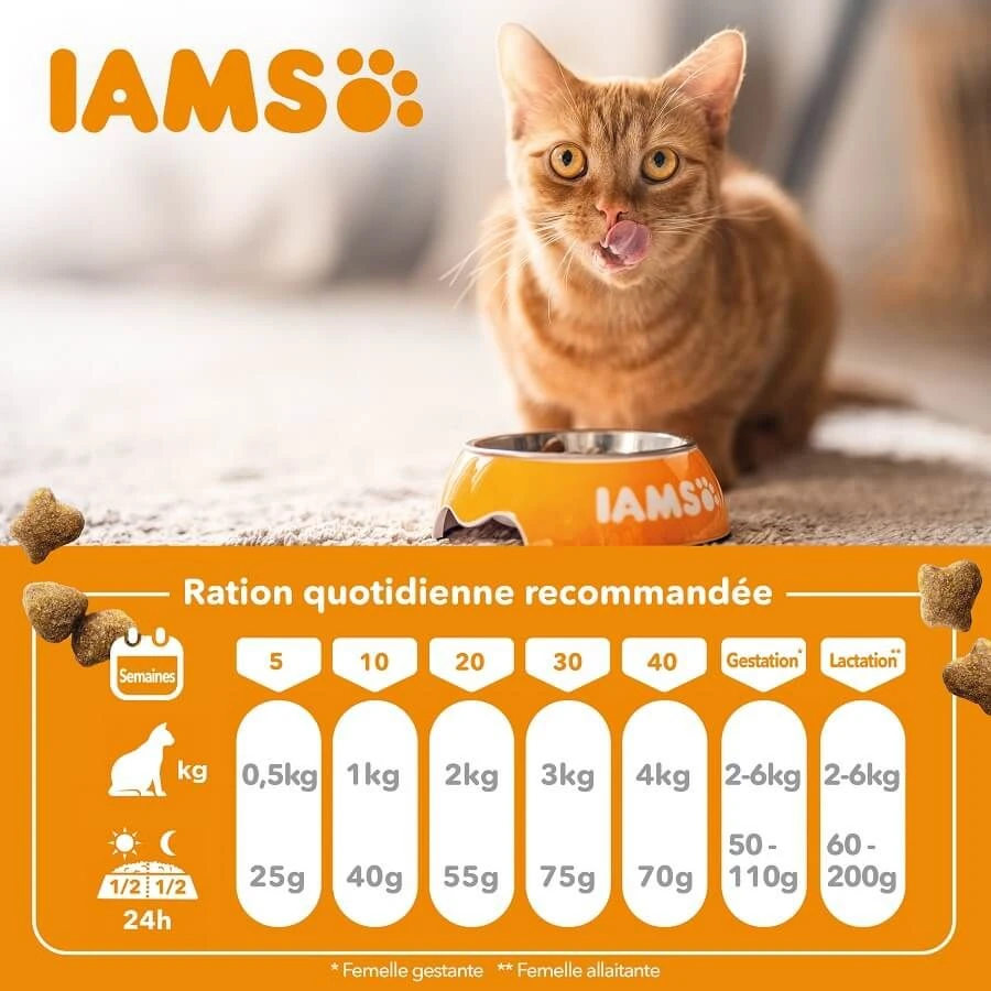 IAMS Vitality Croquettes Pour Chaton Au Poulet 1.5 Kg 5 IAMS Vitality Croquettes Pour Chaton Au Poulet 1.5 Kg – Image 5