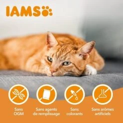 IAMS Vitality Croquettes Pour Chaton Au Poulet 1.5 Kg 11 IAMS Vitality Croquettes Pour Chaton Au Poulet 1.5 Kg -Trixie Boutique iams vitality croquettes pour chaton au poulet6 1