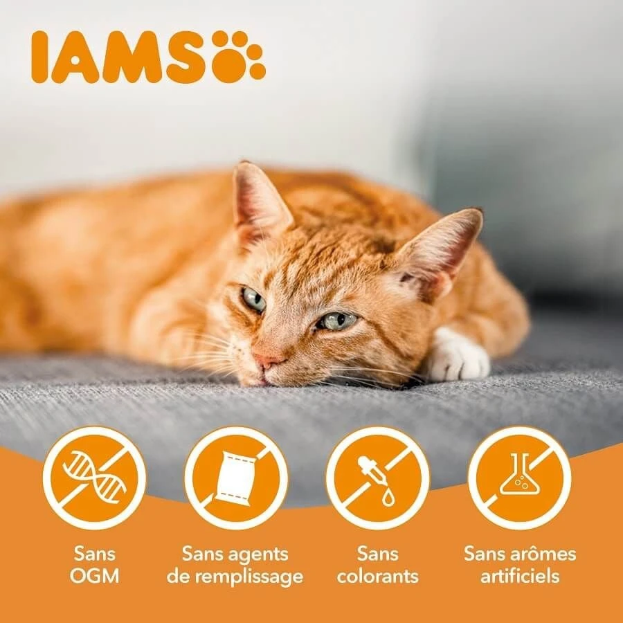 IAMS Vitality Croquettes Pour Chaton Au Poulet 1.5 Kg 6 IAMS Vitality Croquettes Pour Chaton Au Poulet 1.5 Kg – Image 6