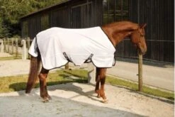 Kerbl Couverture Anti-mouches Pour Cheval 145 Cm -Trixie Boutique kerbl couverture anti mouches pour cheval 5 1 1