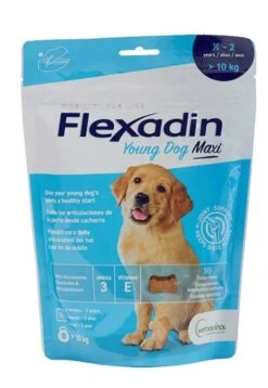 Flexadin Chiot Maxi 30 Bouchées