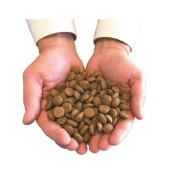 Felichef Croquettes BIO Sans Céréales, Sans Gluten Chaton 800 G -Trixie Boutique main avec croquettes 3 9