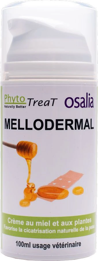 Mellodermal Crème Au Miel De Sarrasin 100 Ml 1 Mellodermal Crème Au Miel De Sarrasin 100 Ml