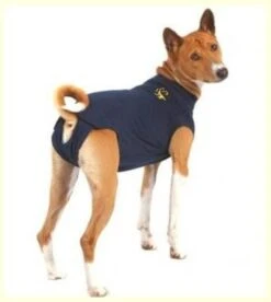 Medical Pet Shirt Chien M