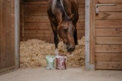 Horse Master Nutri Sweet Friandise 3 Saveurs 1 Kg -Trixie Boutique natural sweet nutri sweet