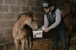 Horse Master Nutrimilk Breeding Lait En Poudre 10 Kg Poulain -Trixie Boutique nutrimilk 2 1