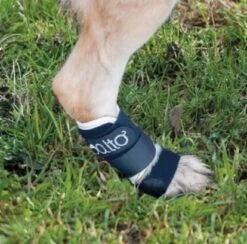 Orthese Balto Carpe Et Tarse M -Trixie Boutique orthese balto carpe et tarse3 1 1 1