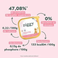 Ziggy Pâtée Sans Céréales Chaton Truite 4 X 100 G -Trixie Boutique pateechaton pchtt1 3 1