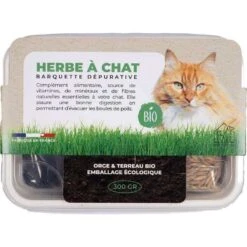 Pet Design Herbe à Chat Bio En Barquette 300 G