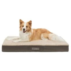 Trixie Vital Bendson Coussin Gris 100 × 65 Cm