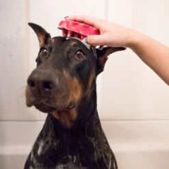 KONG Brosse Zoom Groom Bleue Pour Chien