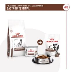 Royal Canin Vet Chien Gastrointestinal Treats 230 G -Trixie Boutique rc vhn gicaninetreat cv 1 fr fr.pdf