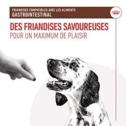 Royal Canin Vet Chien Gastrointestinal Treats 230 G (offre) -Trixie Boutique rc vhn gicaninetreat cv 3 fr fr.pdf 1