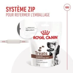Royal Canin Vet Chien Gastrointestinal Treats 230 G (offre) -Trixie Boutique rc vhn gicaninetreat cv 5 fr fr.pdf 1