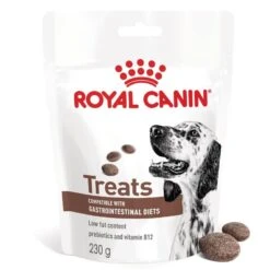 Royal Canin Vet Chien Gastrointestinal Treats 230 G (offre)