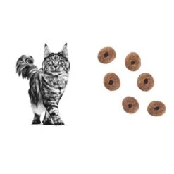 Trixie Boutique -Trixie Boutique royal canin vet chat skin coat 3 5 kg