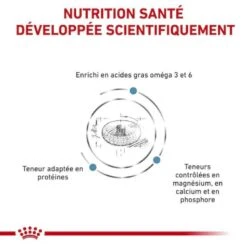 Royal Canin Vet Chat Skin & Coat 3,5 Kg -Trixie Boutique royal canin vet chat skin coat 3 5 kg 4