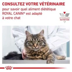 Royal Canin Vet Chat Urinary S/O Mousse 12 X 85 G 11 Royal Canin Vet Chat Urinary S/O Mousse 12 X 85 G -Trixie Boutique royal canin vet chat urinary s o mousse 12 x 85 g 5