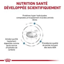 Royal Canin Vet Chien Anallergenic 8 Kg -Trixie Boutique royal canin vet chien anallergenic 8 kg 2