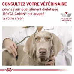 Royal Canin Vet Chien Anallergenic 8 Kg -Trixie Boutique royal canin vet chien anallergenic 8 kg 7