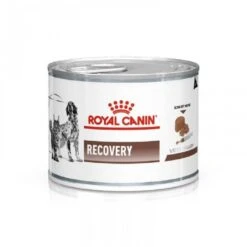 Royal Canin Vet Recovery 195 G