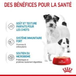 Royal Canin Vet Starter Mother & Babydog Mousse 12 X 195 G -Trixie Boutique royal canin size health nutrition starter mother babydog mousse 3