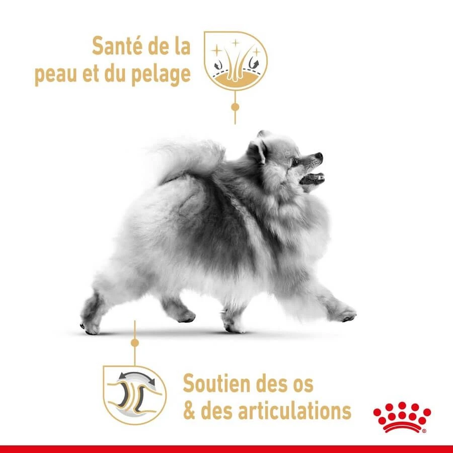 Royal Canin Spitz Nain Adult 3 Kg 4 Royal Canin Spitz Nain Adult 3 Kg – Image 4