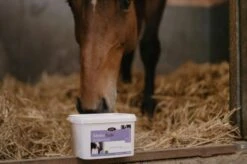 Horse Master Serenitude Poudre 1.65 Kg -Trixie Boutique serenitude