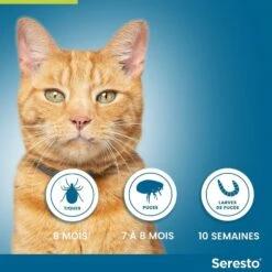 Seresto Collier Antiparasitaire Chat X2 14 Seresto Collier Antiparasitaire Chat X2 -Trixie Boutique seresto collier antiparasitaire chat4 2