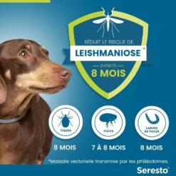 Seresto Collier Antiparasitaire Petit Chien X2 -Trixie Boutique seresto collier antiparasitaire petit chien4 2