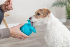 Trixie Snack Poulpe Pour Chien 11 Cm -Trixie Boutique snackpoulpe4 1