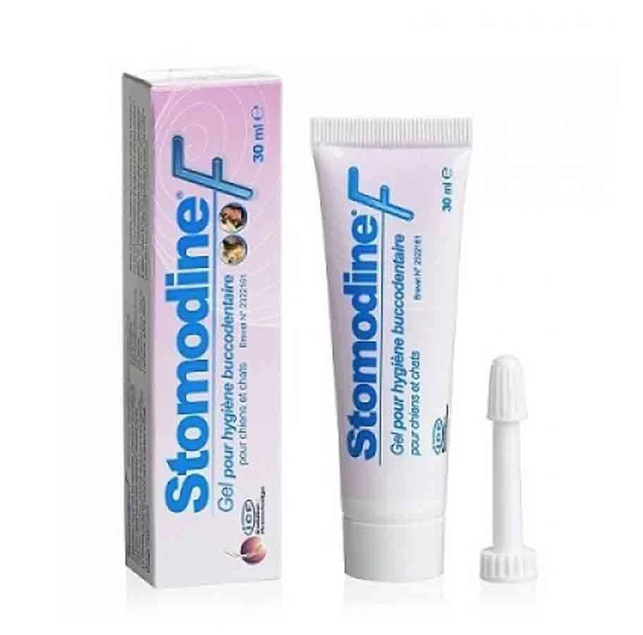 Stomodine F 30 Ml 1 Stomodine F 30 Ml