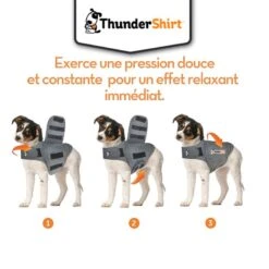 Thundershirt Chien M 11-18 Kg 13 Thundershirt Chien M 11-18 Kg -Trixie Boutique thundershirt chien m 11 18 kg 6