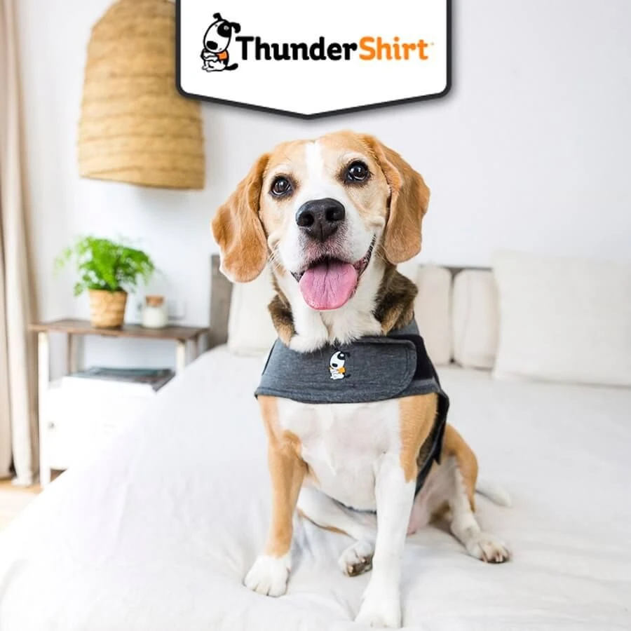 Thundershirt Chien M 11-18 Kg 8 Thundershirt Chien M 11-18 Kg – Image 8
