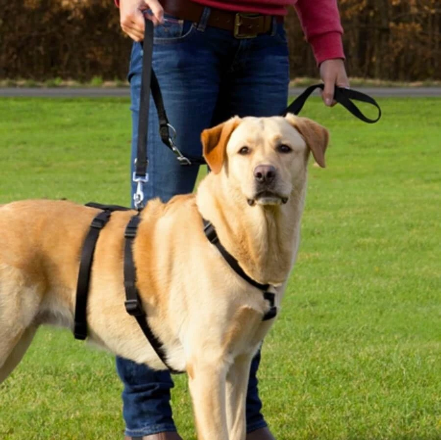 Trixie Collier Harnais De Sécurité L-XL 2 Trixie Collier Harnais De Sécurité L-XL – Image 2